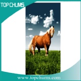 horse-beach-towel-bt0260